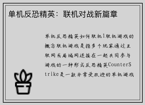 单机反恐精英：联机对战新篇章